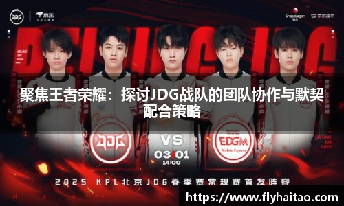 聚焦王者荣耀：探讨JDG战队的团队协作与默契配合策略